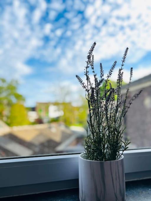 Charmant Petit Appartement. Liège Exterior foto