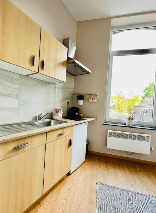 Charmant Petit Appartement. Liège Exterior foto